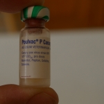 vaccin c.jpg